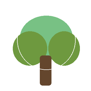 American Hornbeam (Carpinus caroliniana) reference icon