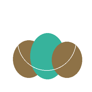 Azalea 'Delaware Valley White' reference icon