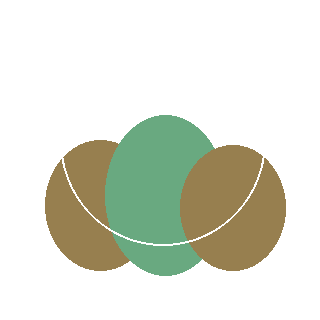 Bigleaf Hydrangea (Hydrangea macrophylla) reference icon