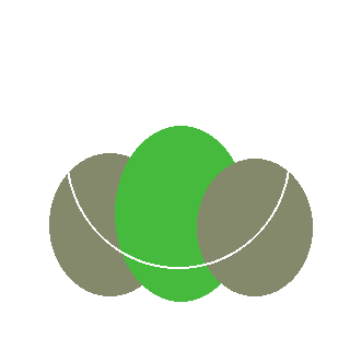 Blue Summer Hydrangea (Endless Summer line) reference icon