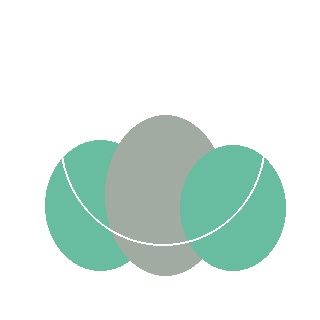 Boxwood reference icon