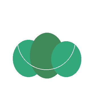 Buttonbush (Cephalanthus occidentalis) reference icon