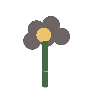 Coneflower (Echinacea purpurea) reference icon