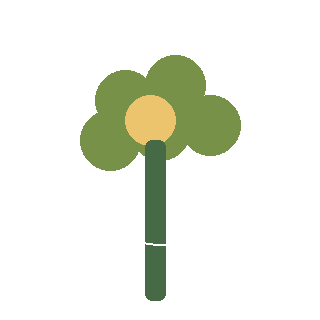 Coral Bells (Heuchera spp.) reference icon