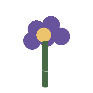 Doll's Eyes (Actaea pachypoda) reference icon