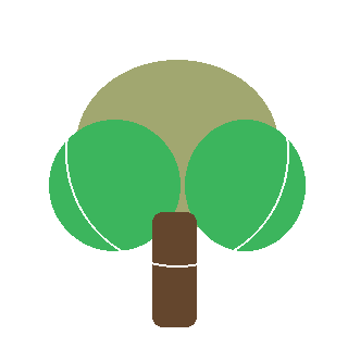 Eastern Red Cedar (Juniperus virginiana) reference icon