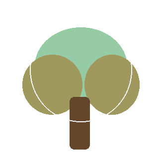 Hackberry (Celtis occidentalis) reference icon