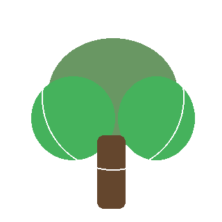 Japanese Maple (Acer palmatum) reference icon
