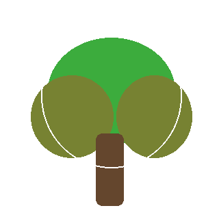 Limelight Hydrangea Tree (Hydrangea paniculata) reference icon