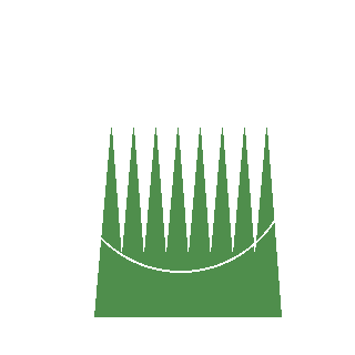 Little Bluestem (Schizachyrium scoparium) reference icon