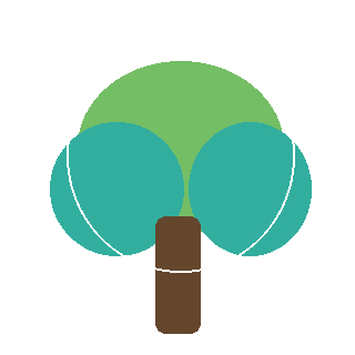 Norway Spruce reference icon