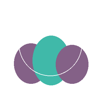 Oakleaf Hydrangea (Hydrangea quercifolia) reference icon