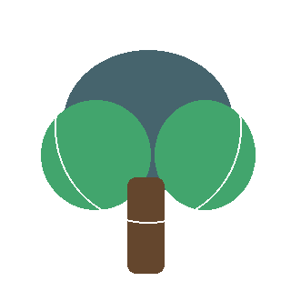 Paper Birch (Betula papyrifera) reference icon