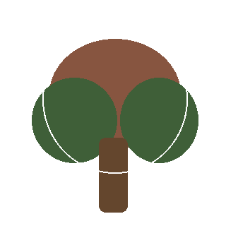 Phantom Hydrangea Tree (Hydrangea paniculata 'Phantom') reference icon