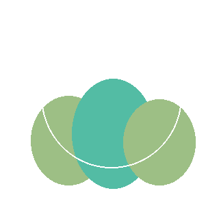 Quick Fire Hydrangea reference icon