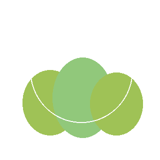 Red Chokeberry (Aronia arbutifolia) reference icon