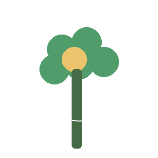 Sedge (Carex varieties) reference icon