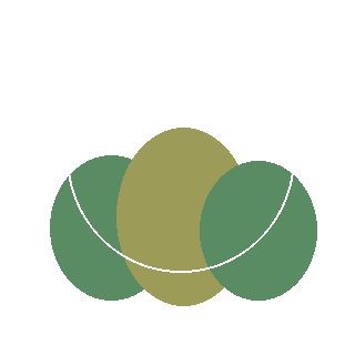 Spicebush (Lindera benzoin) reference icon