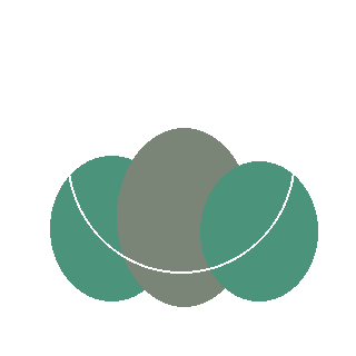 Sumac (Rhus copallinum / glabra / typhina) reference icon