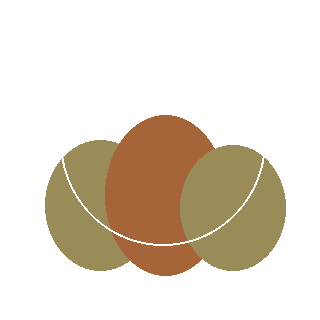 Sweet Pepperbush (Clethra alnifolia) reference icon