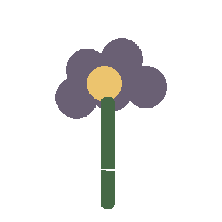 Violet (Viola spp.) reference icon