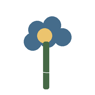 White Wood Aster (Eurybia divaricata) reference icon