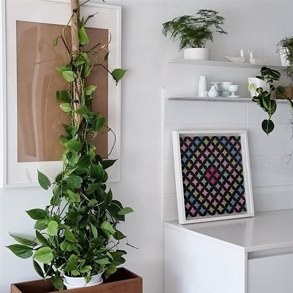 Long Island plantings and botanical design